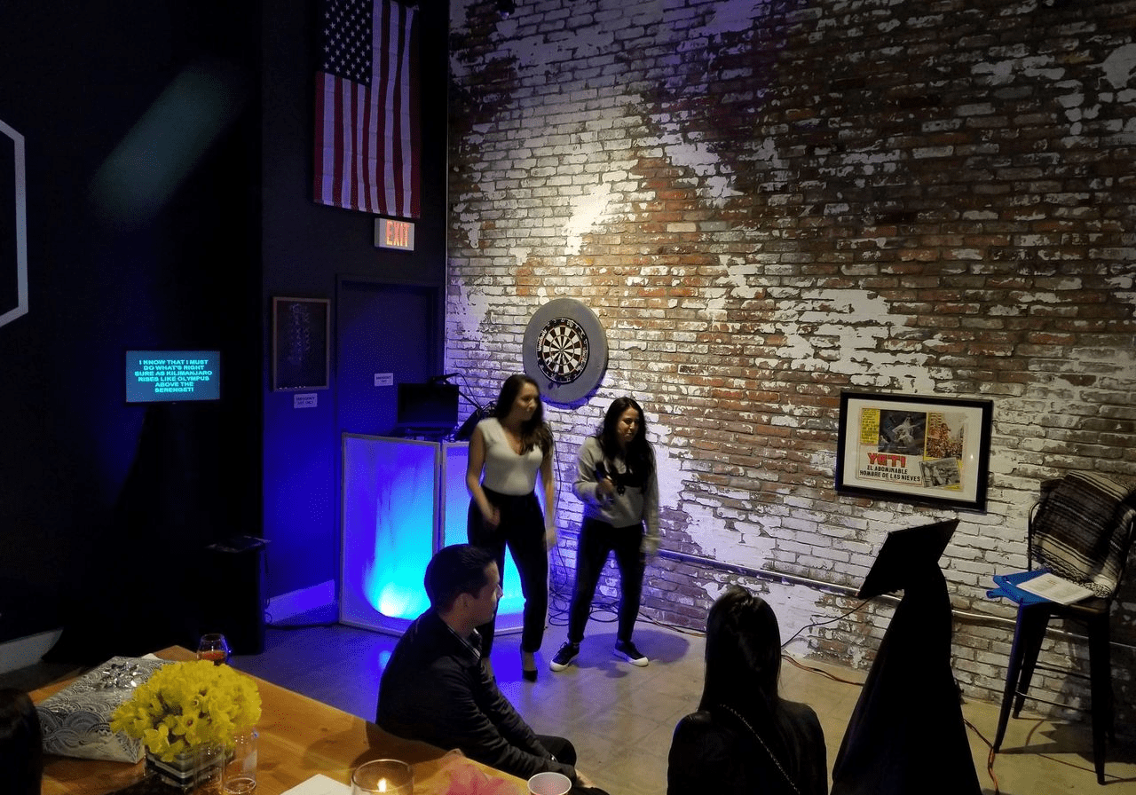 karaoke dj services
